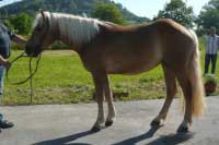 Luana. Pro zv�t�en� klikn�te