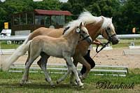 Dior. Pro zv�t�en� klikn�te