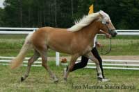 Wunja. Pro zv�t�en� klikn�te