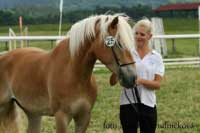 Campbella. Pro zv�t�en� klikn�te