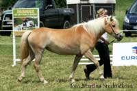 Hellenica. Pro zv�t�en� klikn�te