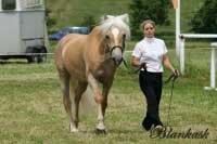 Desideria. Pro zv�t�en� klikn�te