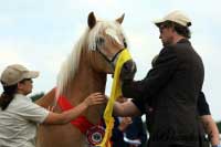 �ampion otev�en�ch t��d, Campbella. Pro zv�t�en� klikn�te