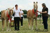 �ampionky. Pro zv�t�en� klikn�te