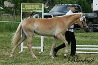 Bahar. Pro zv�t�en� klikn�te