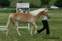 Sagara. Pro zv�t�en� klikn�te