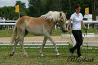 Hoffnug. Pro zv�t�en� klikn�te