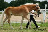 Daylight. Pro zv�t�en� klikn�te