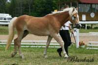 Marja. Pro zv�t�en� klikn�te