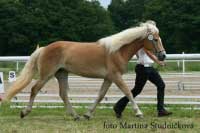 Unadonna. Pro zv�t�en� klikn�te