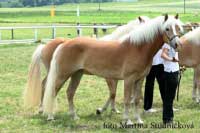 Homy. Pro zv�t�en� klikn�te