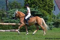 Drezurn� uk�zka v pod�n� Armina-Q. Pro zv�t�en� klikn�te