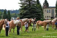 ��astn�ci v�stavy. Pro zv�t�en� klikn�te