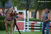 Klisna Ebony a sout� v ovladatelnosti. Pro zv�t�en� klikn�te