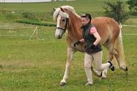 Aschely. Pro zv�t�en� klikn�te