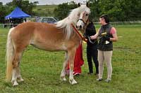 Aschely - �ampionka �esk�ho chovu. Pro zv�t�en� klikn�te