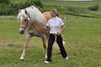 Desideria. Pro zv�t�en� klikn�te