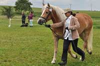 Naveli. Pro zv�t�en� klikn�te