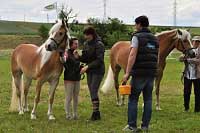 Naveli a Aschely p�i dekorov�n� ve t��d� 3 - 6 let�ch. Pro zv�t�en� klikn�te