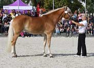 Daylight. Pro zv�t�en� klikn�te