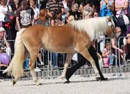 Atlantis. Pro zv�t�en� klikn�te