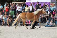 Atlantis. Pro zv�t�en� klikn�te