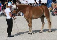 Selene. Pro zv�t�en� klikn�te