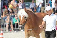 Selene. Pro zv�t�en� klikn�te