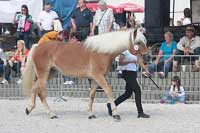 Selene. Pro zv�t�en� klikn�te