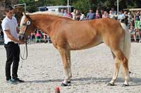 Homy. Pro zv�t�en� klikn�te