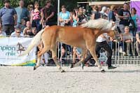 Homy. Pro zv�t�en� klikn�te