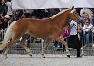 Marja. Pro zv�t�en� klikn�te