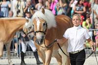 Daylight. Pro zv�t�en� klikn�te