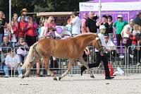 Aida. Pro zv�t�en� klikn�te