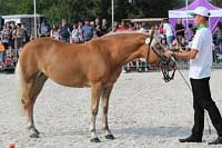 Aida. Pro zv�t�en� klikn�te