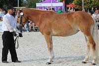 Greta. Pro zv�t�en� klikn�te