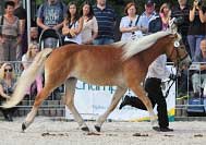 Greta. Pro zv�t�en� klikn�te