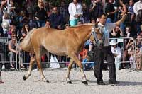 Mackenzie. Pro zv�t�en� klikn�te