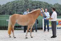 Mackenzie. Pro zv�t�en� klikn�te