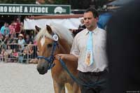 Mackenzie. Pro zv�t�en� klikn�te