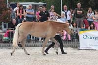 Sunflower. Pro zv�t�en� klikn�te