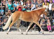 Daylight. Pro zv�t�en� klikn�te