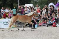 Campbella. Pro zv�t�en� klikn�te