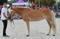 Campbella. Pro zv�t�en� klikn�te