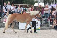 Campbella. Pro zv�t�en� klikn�te