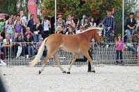 Cabina. Pro zv�t�en� klikn�te