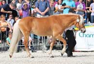 Amaranth. Pro zv�t�en� klikn�te