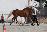 Avalon. Pro zv�t�en� klikn�te