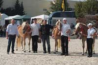 Vyhl�en� nejlep��ch klisen mlad�� t��dy. Pro zv�t�en� klikn�te