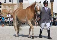 Mississippi. Pro zv�t�en� klikn�te